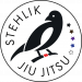 Martin Stehlík